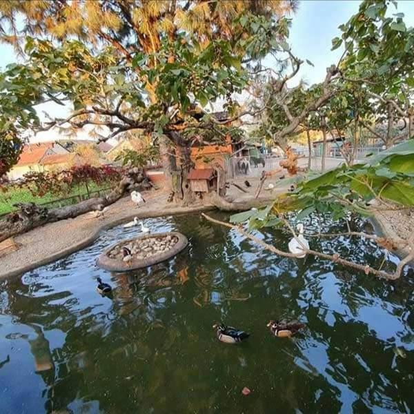 Apartman Normanci Near Bizovac Thermal Spa Luaran gambar